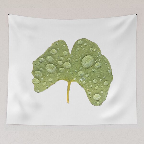 Item preview, Wet Ginkgo Leaf designed and sold by Carl's Clothing.