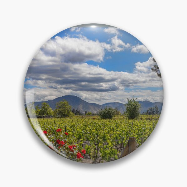 Item preview, Chile. Santiago. Winery.  designed and sold by vadim19.