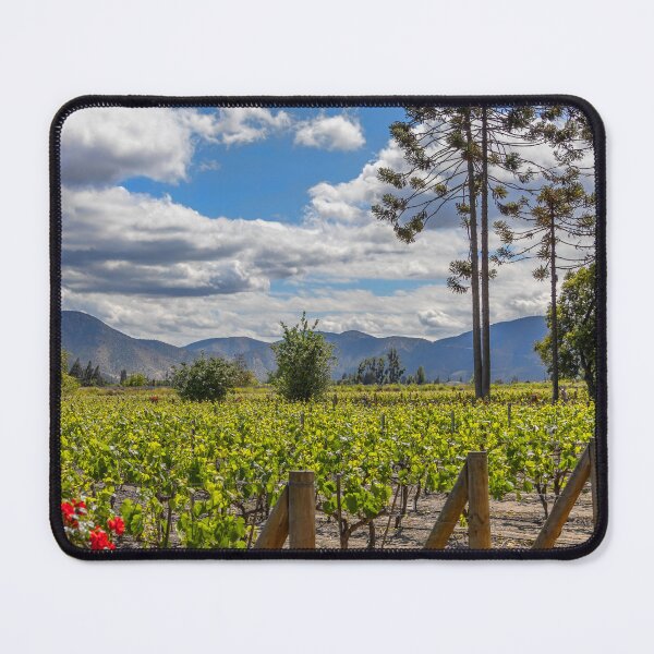 Item preview, Chile. Santiago. Winery.  designed and sold by vadim19.