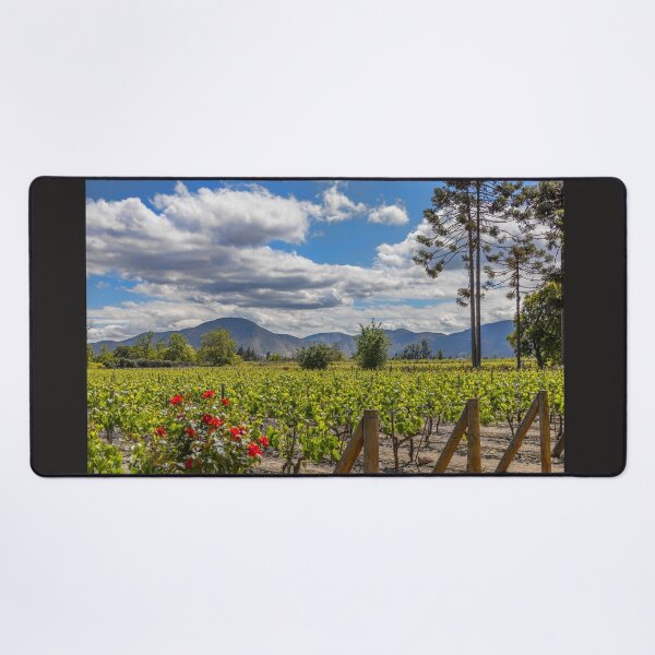 Item preview, Chile. Santiago. Winery.  designed and sold by vadim19.