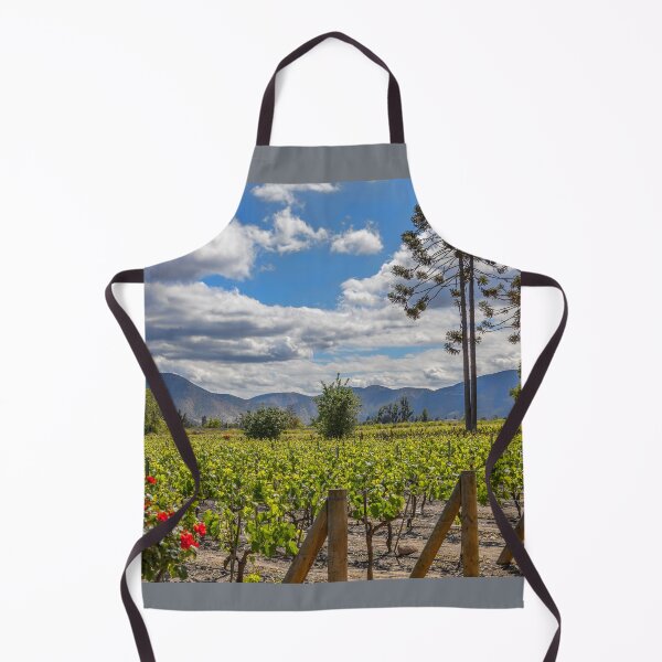 Item preview, Chile. Santiago. Winery.  designed and sold by vadim19.