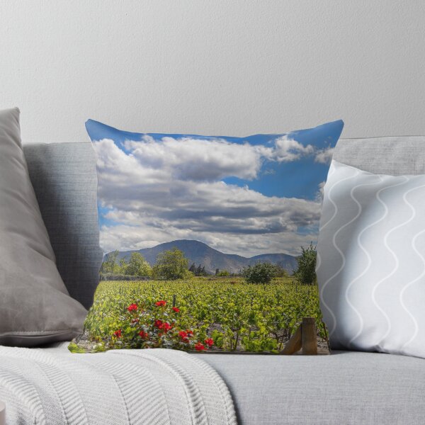 Item preview, Chile. Santiago. Winery.  designed and sold by vadim19.