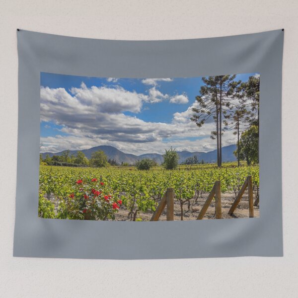 Item preview, Chile. Santiago. Winery.  designed and sold by vadim19.