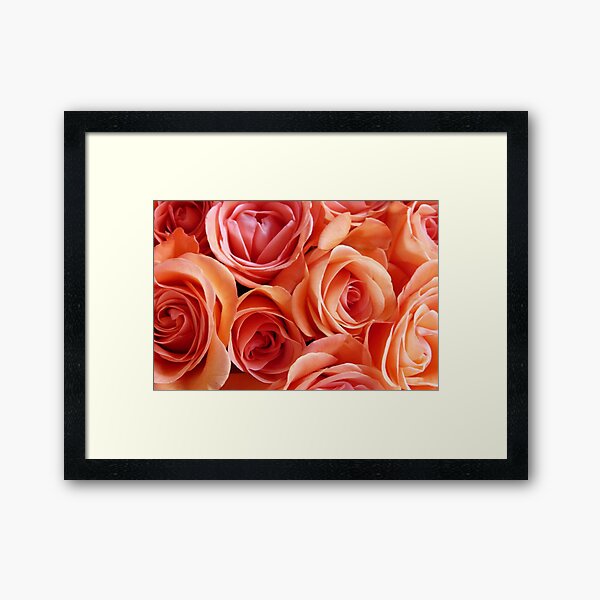 Item preview, A display of roses designed and sold by Agnes McGuinness.