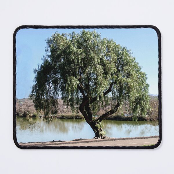 Item preview, Willow designed and sold by heatherfriedman.