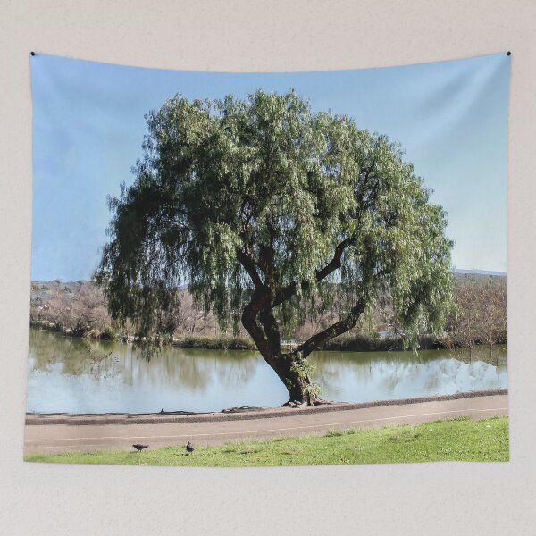 Item preview, Willow designed and sold by heatherfriedman.