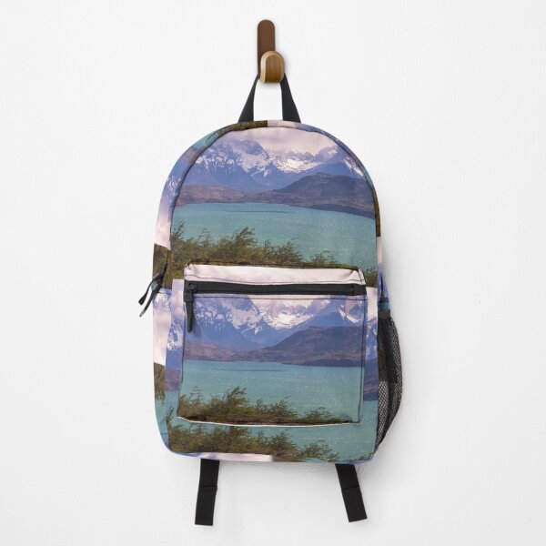 Item preview, Chile. Torres del Paine National Park. Lake and Mountains. designed and sold by vadim19.