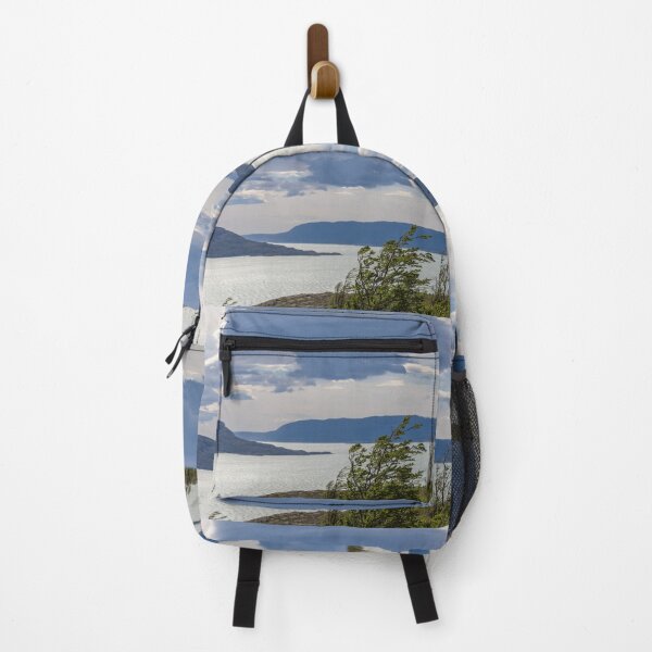 Item preview, Chile. Torres del Paine National Park. Landscape. designed and sold by vadim19.