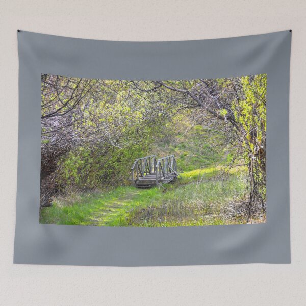 Item preview, Chile. Torres del Paine National Park. Wooden Bridge.  designed and sold by vadim19.