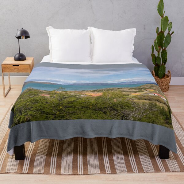 Item preview, Chile. Torres del Paine National Park. Houses. designed and sold by vadim19.