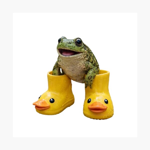 Aperçu de l'œuvre Grenouille avec des bottes de canard créée et vendue par FroggyOnly.