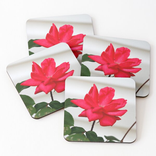 Item preview, Quiet Renewal designed and sold by Seeds of Wellness.