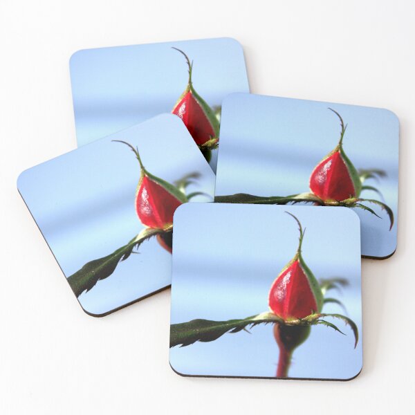 Item preview, Becoming designed and sold by Seeds of Wellness.