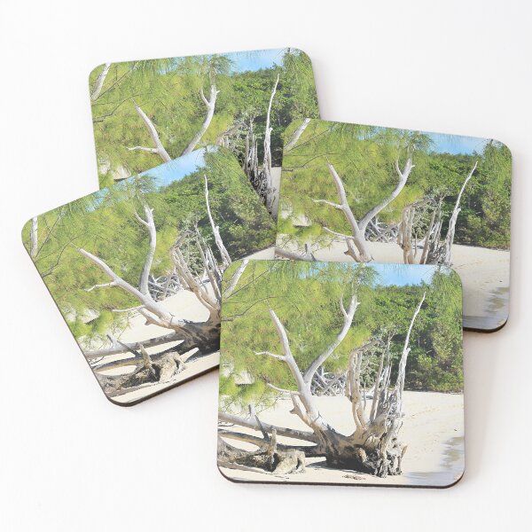 Item preview, Driftwood tree Bahamas designed and sold by croper.