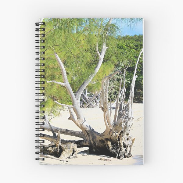 Item preview, Driftwood tree Bahamas designed and sold by croper.