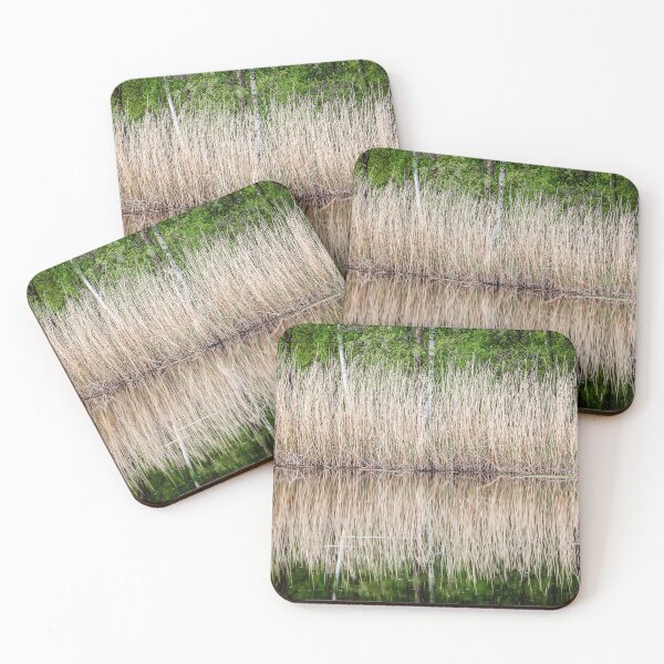Item preview, Reed Rhythm designed and sold by LRPhotoart.