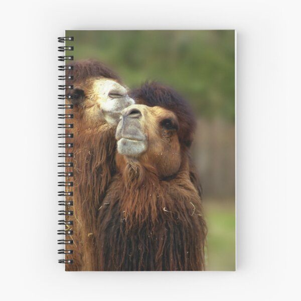 Item preview, Happy Camel Couple designed and sold by Wayne King.