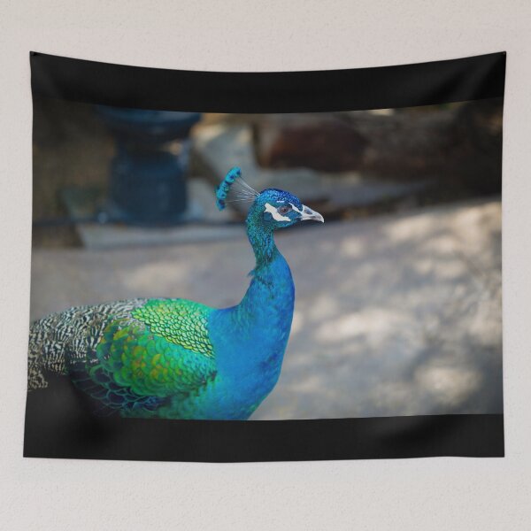 Item preview, Vibrant Peacock Portrait - Majestic Blue and Iridescent Green Wildlife Photography designed and sold by AbulailArt.