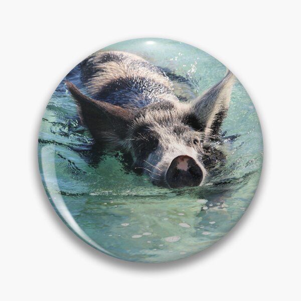 Item preview, Swimming Pig in Exuma, Bahamas designed and sold by croper.