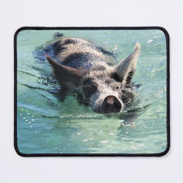 Item preview, Swimming Pig in Exuma, Bahamas designed and sold by croper.