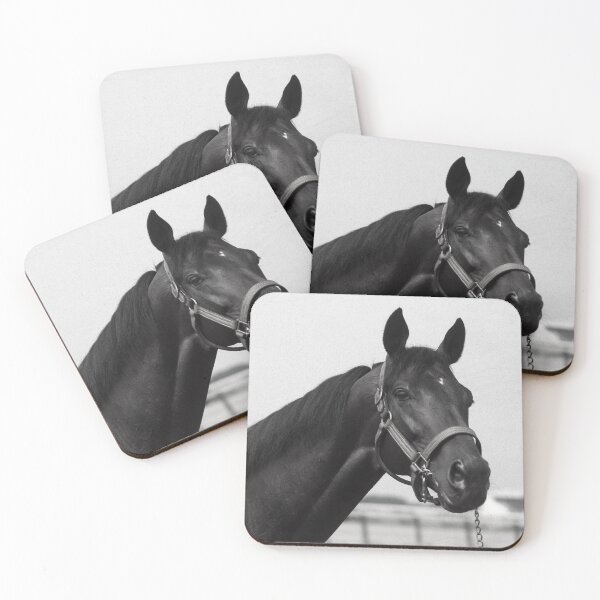 Item preview, C2025 SteveYellowbear Fine Art   BLACK HORSE IN HALTER designed and sold by SteveYellowbear.