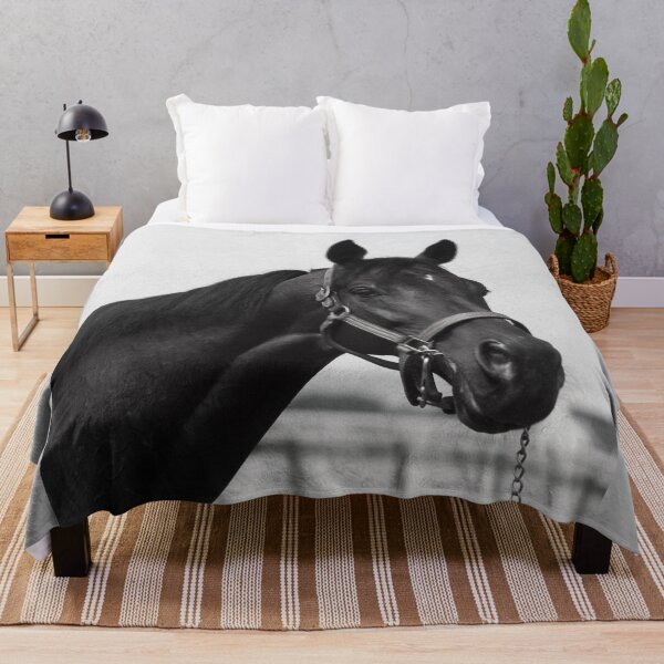 Item preview, C2025 SteveYellowbear Fine Art   BLACK HORSE IN HALTER designed and sold by SteveYellowbear.