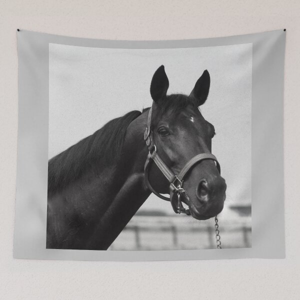 Item preview, C2025 SteveYellowbear Fine Art   BLACK HORSE IN HALTER designed and sold by SteveYellowbear.