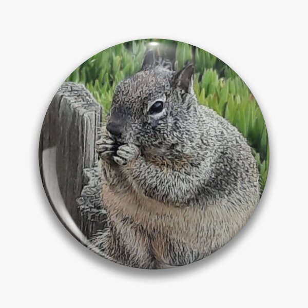 Item preview, C2025 Steve Yellowbear BRIAN THE CALIFORNIA GROUND SQUIRREL designed and sold by SteveYellowbear.