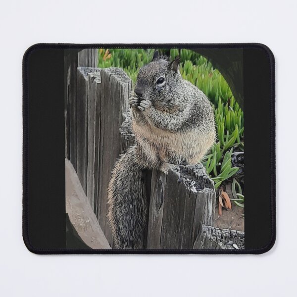 Item preview, C2025 Steve Yellowbear BRIAN THE CALIFORNIA GROUND SQUIRREL designed and sold by SteveYellowbear.