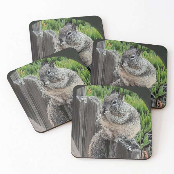 Item preview, C2025 Steve Yellowbear BRIAN THE CALIFORNIA GROUND SQUIRREL designed and sold by SteveYellowbear.