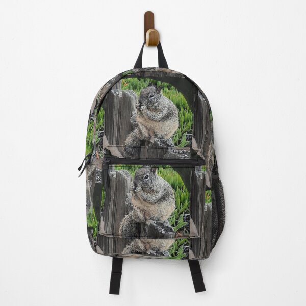 Item preview, C2025 Steve Yellowbear BRIAN THE CALIFORNIA GROUND SQUIRREL designed and sold by SteveYellowbear.