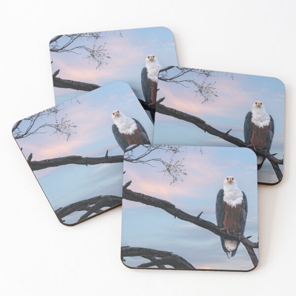 Item preview, African Fish Eagle designed and sold by Kay Brewer.