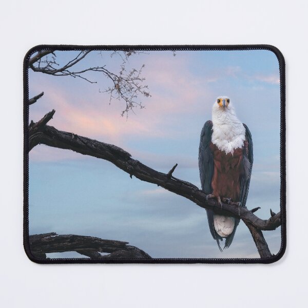 Item preview, African Fish Eagle designed and sold by Kay Brewer.