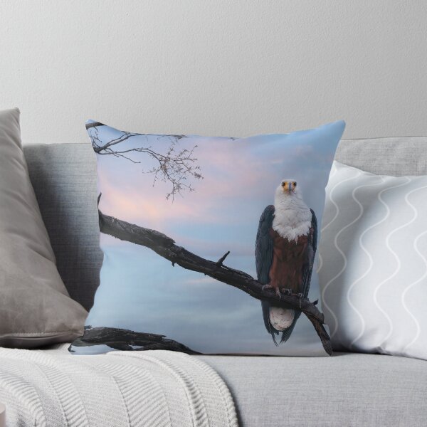 Item preview, African Fish Eagle designed and sold by Kay Brewer.