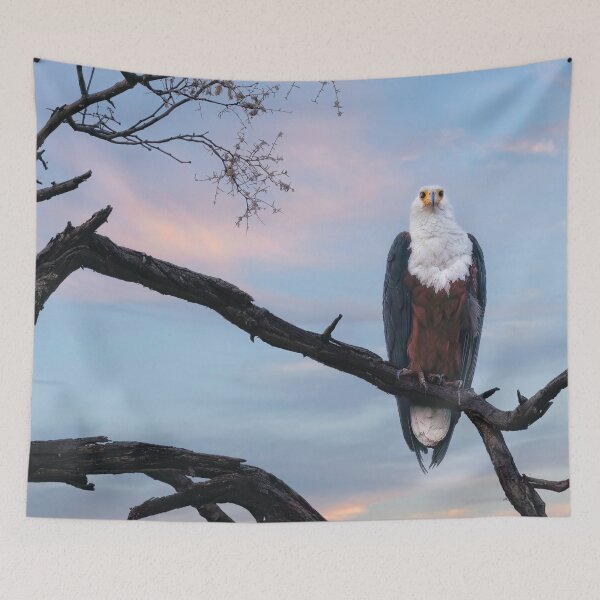 Item preview, African Fish Eagle designed and sold by Kay Brewer.