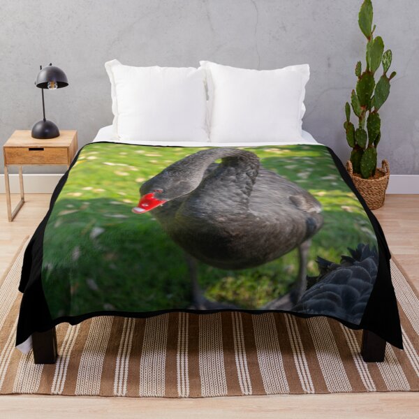 Item preview, Elegant Black Swan Portrait - Striking Red Beak and Dark Plumage Wildlife Photo designed and sold by AbulailArt.