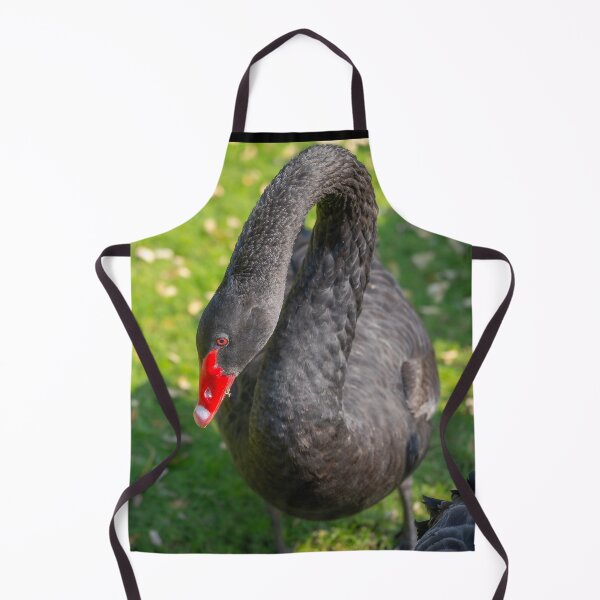 Item preview, Elegant Black Swan Portrait - Striking Red Beak and Dark Plumage Wildlife Photo designed and sold by AbulailArt.