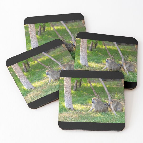 Item preview, Wild Baboons Grooming in the Sun - Authentic African Primate Nature Photography designed and sold by AbulailArt.