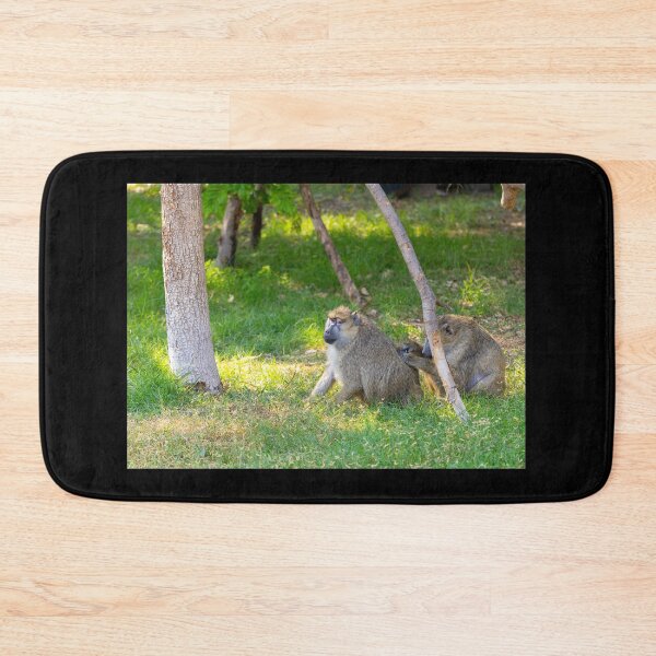Item preview, Wild Baboons Grooming in the Sun - Authentic African Primate Nature Photography designed and sold by AbulailArt.
