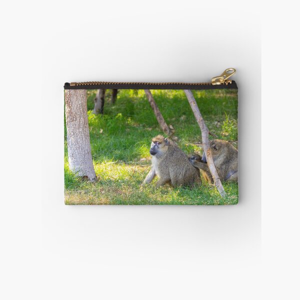 Item preview, Wild Baboons Grooming in the Sun - Authentic African Primate Nature Photography designed and sold by AbulailArt.