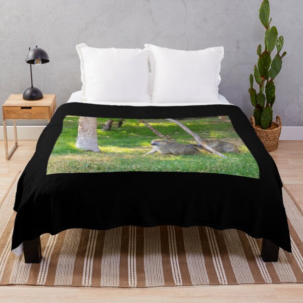 Item preview, Wild Baboons Grooming in the Sun - Authentic African Primate Nature Photography designed and sold by AbulailArt.