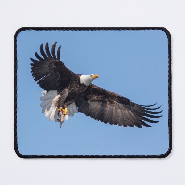 Item preview, Bald Eagle with a fish 2-14-2026 designed and sold by Thomasyoung.