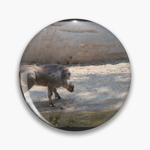 Item preview, African Warthog at the Water Hole - Wild Safari Wildlife Photography designed and sold by AbulailArt.