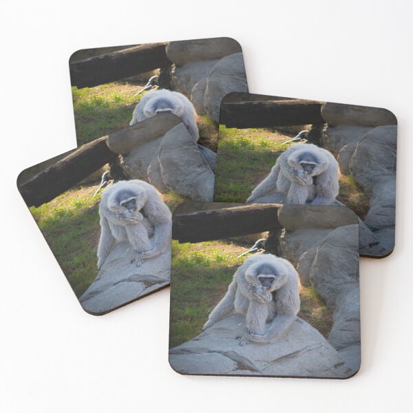 Item preview, Majestic Lar Gibbon on Rock - Silvery White-Handed Gibbon Wildlife Photography designed and sold by AbulailArt.