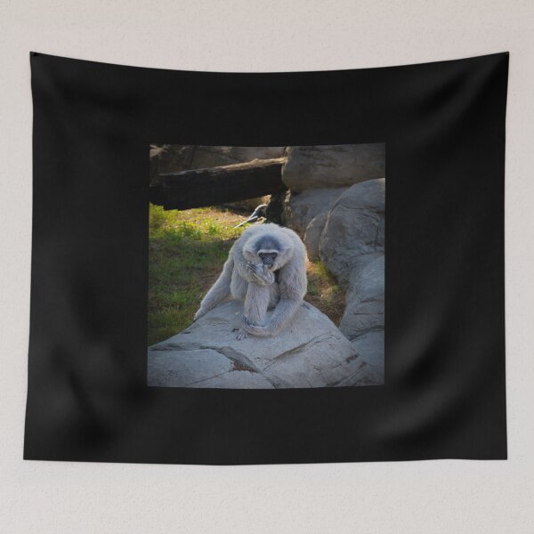 Item preview, Majestic Lar Gibbon on Rock - Silvery White-Handed Gibbon Wildlife Photography designed and sold by AbulailArt.