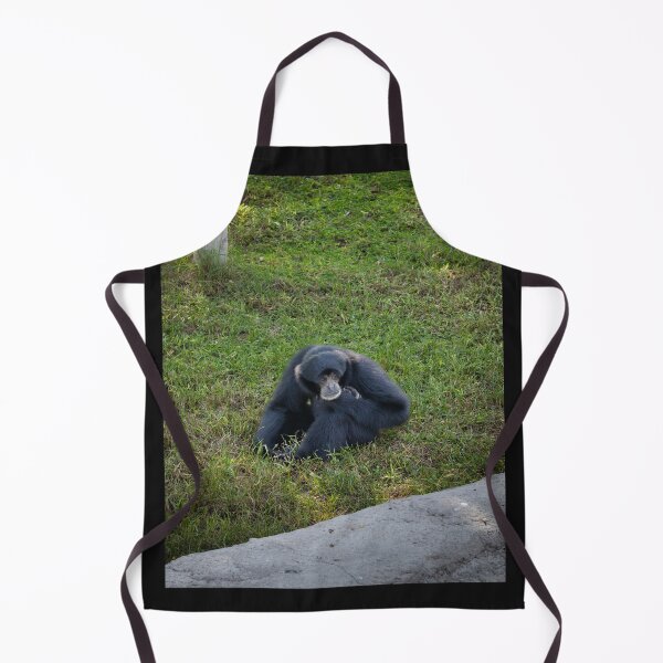 Item preview, Thoughtful Siamang Gibbon Portrait - Black Primate Wildlife Photography designed and sold by AbulailArt.