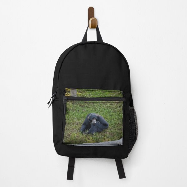 Item preview, Thoughtful Siamang Gibbon Portrait - Black Primate Wildlife Photography designed and sold by AbulailArt.