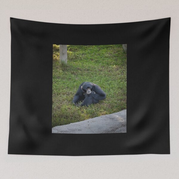 Item preview, Thoughtful Siamang Gibbon Portrait - Black Primate Wildlife Photography designed and sold by AbulailArt.