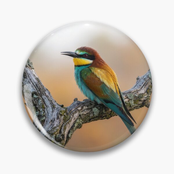 Item preview, European Bee Catcher on an Olive Branch designed and sold by Tridentulus.