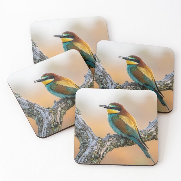 Item preview, European Bee Catcher on an Olive Branch designed and sold by Tridentulus.